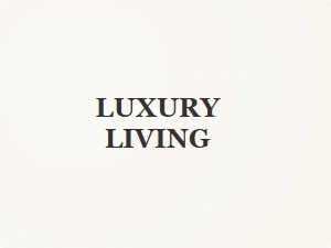 Bold Display Fonts for Luxury Branding Like Abril Fatface